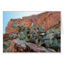 Buscar higo chumbo postales Espinoso