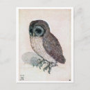 Buscar durer postales Animal