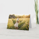 Buscar campos de trigo tarjetas Paisaje