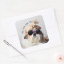 Buscar amante del sol pegatinas Perro