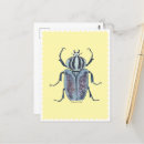 Buscar beetle postales Escarabajo azul