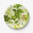 Buscar botanical platos Follaje