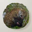 Buscar jaguares negros cojines Gran gato