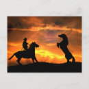 Buscar vaquero del montar a caballo postales Rodeo