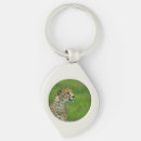 Buscar jubatus accesorios Guepardo
