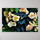 Buscar gotas de lluvia posters Flor