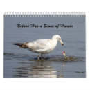 Buscar humor calendarios Naturaleza