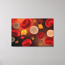 Buscar hematología posters Ilustracion