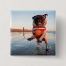 Buscar pug chapas Perro