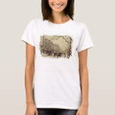 Buscar architecture camisetas Century