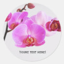 Buscar orquídeas rosadas pegatinas Flores