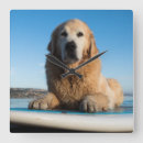 Buscar horizontal relojes de pared Perro