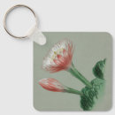 Buscar peruanos llaveros Cactus