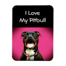 Buscar pitbull imanes Rosa