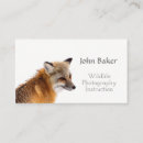 Buscar fauna tarjetas de visita Vida silvestre