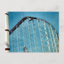 Buscar búfalo americano postales Vida salvaje