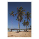 Buscar republica dominicana posters Paisaje