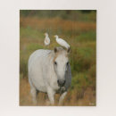 Buscar caballo gris puzzles Animal