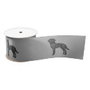 Buscar labrador retriever cintas Lindo
