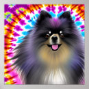 Buscar pomeranian arte Cachorro
