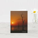 Buscar africa tarjetas Puesta de sol