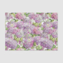 Buscar hydrangea rosado General y unisex