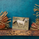 Buscar hierba placas fotograbadas Pradera