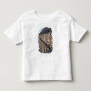 Buscar segovia camisetas España