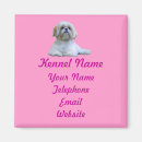 Buscar tzu imanes Tzu de shih