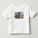 Buscar islas dodecanese Almenado