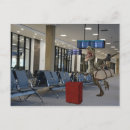 Buscar dinosaur postales Vacaciones