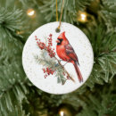 Buscar cardenales adornos Pájaros de invierno