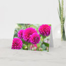 Buscar gardner tarjetas Jardín