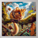 Buscar dormouse posters Haragana