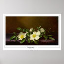 Buscar head arte Flores