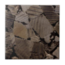 Buscar tronco de árbol azulejos Rústico