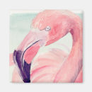 Buscar flamingo imanes Animales