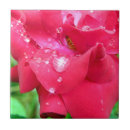Buscar romance azulejos Flor
