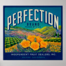 Buscar prensa libre posters Colección