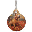 Buscar mi pitbull mascotas General y unisex