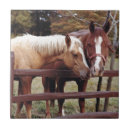 Buscar ecuestre azulejos Equitación