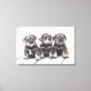Buscar schnauzer lienzos Animal