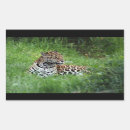 Buscar jaguar animal pegatinas Animales