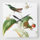 Buscar hummingbird relojes de pared Floral