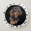 Buscar dachshund cojines Para mascotas