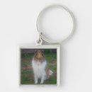 Buscar sable llaveros Collie