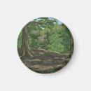 Buscar pacífico imanes Pnw