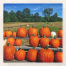 Buscar calabaza posavasos Naturaleza