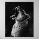 Buscar escala posters Fauna