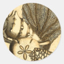 Buscar estante pegatinas Mar